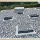 여수 산소이장 그 이야기가 궁금한 이유