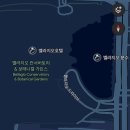 더파운틴 | 라스베가스) 벨라지오&더 코스모 폴리탄 파운틴 뷰 수영장 후기