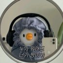 정버럭