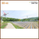 덕성태양광발전소 이미지