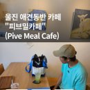 피브밀카페 | 울진 애견동반 카페 추천｜죽변항 근처 피브밀카페 방문 후기