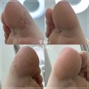 배스킨라빈스탕정한들물빛점 이미지