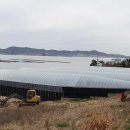 서하리마을회관 이미지