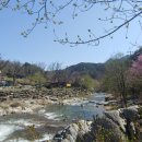 강가민박 이미지