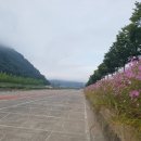 의령천 둔치 - 24 | 의령천 둔치