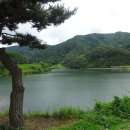 원주굽이길 원11코스 다둔인벌길 이미지