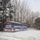 용인 아이와 가기좋은 곳, 양지 파인 리조트 스노우파크 눈썰매장 방문 후기