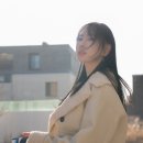 르벨류(Le'value) | 제마 에르베 르 코티디앙 까쉐뜨 콜렉션 지갑 하이엔드 여자 남자 카드지갑 추천