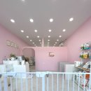 J애견미용 이미지