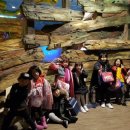 MTA 국가대표태권도장 이미지