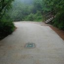 GYM ANABOLIC 이미지