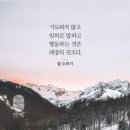 [ 2022년 12월 18일 주일공동기도문] 이미지