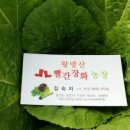 장화농장 이미지