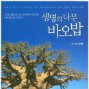 바오바브