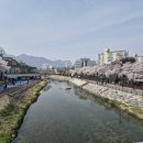 우이천 공중화장실 | 벚꽃 스팟 서울 우이천 벚꽃길-주차,위치산책코스 총정리