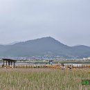 고려청자박물관 이미지