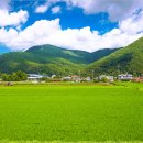 고성군생활자원회수센터 | 경남 고성군 한달살기 체험기, “바다·공룡엑스포·농어촌마을에서 30일, 여행이 아니라 ‘정착 가능성...