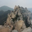 (주)산야 Daum카페