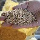 우수흑염소농장 이미지