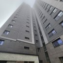 아주아파트(401동) | [경기도 파주줄눈]동패동 초롱꽃마을4단지 신영지웰운정신도시아파트 401동 줄눈시공 후기