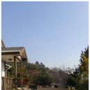 양지제 네이버블로그