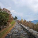 5/3~6(토일월) 싱글룸 ,이팝나무 위양지, 천혜비경소매물도, 표충사,꽃길따라 함안여행~~ 이미지