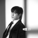 솔라가드프리미엄THELX