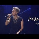 오늘 저녁 6시! Seomoon Tak "Hallelujah" Live Clip (Concert Live Performance) 이미지