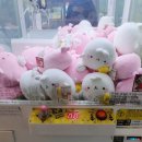 인형뽑기 놀이터 이미지