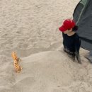 수향모텔 이미지