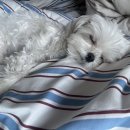 I HOPE | THIS MUSIC MAY CONTAIN HOPE.