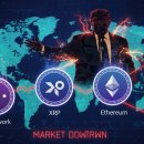 플레이파이 스튜디오 이미지