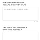 도그플러스 이미지