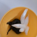 [pH7.5] 홈케어용 중성 트리트먼트 염색제