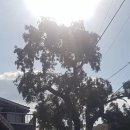 도덕보건진료소 이미지