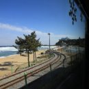 산골백두 이미지