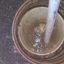 양구살수 이미지