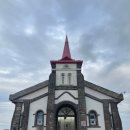 죽성드림세트장 | 부산 기장 애견 동반 여행 가볼만한곳 죽성드림세트장 죽성성당