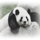 건축사사무소 디딤돌 이미지