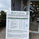 내기농장 | 제주 귤따기 체험 ' 봉봉감귤체험농장' 내돈내산 솔직후기