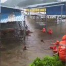 이용식농장 이미지