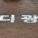 나비영농조합법인 이미지