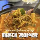 경아딸기 이미지