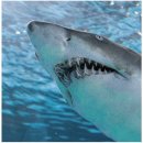 내 치과의원 이미지