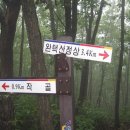 작골래프팅