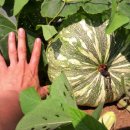 지성농장 이미지