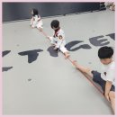 KTIGERS 동탄역관 태권도장 | 동탄태권도 동탄의 최고의 땀 흘리기 장소, K타이거즈 동탄역관