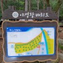 가평 국립 유명산 자연휴양림, 계곡 캠핑장 소개