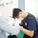 뉴욕메디슨치과의원 이미지