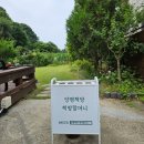 생각이 통통 그림책 속 하브루타 | [성인 그림책 진로 에세이 쓰기 지도자 과정] 이수